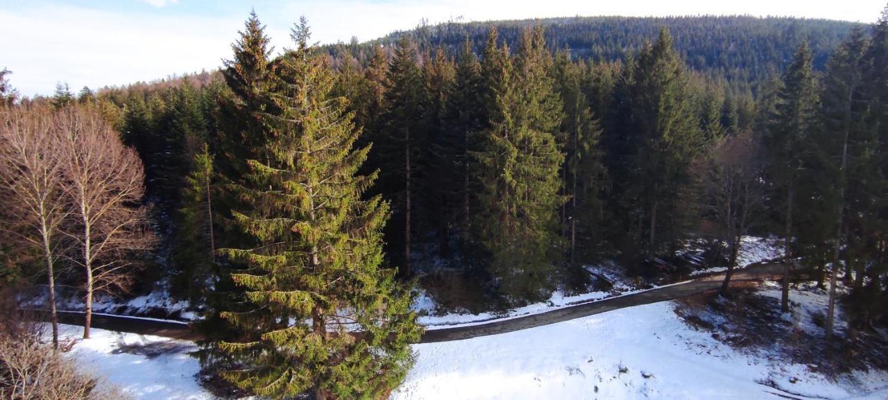 Ferienwohnung Tannenballett Im Schwarzwald Baiersbronn Ngoại thất bức ảnh