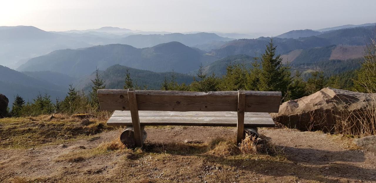 Ferienwohnung Tannenballett Im Schwarzwald Baiersbronn Ngoại thất bức ảnh