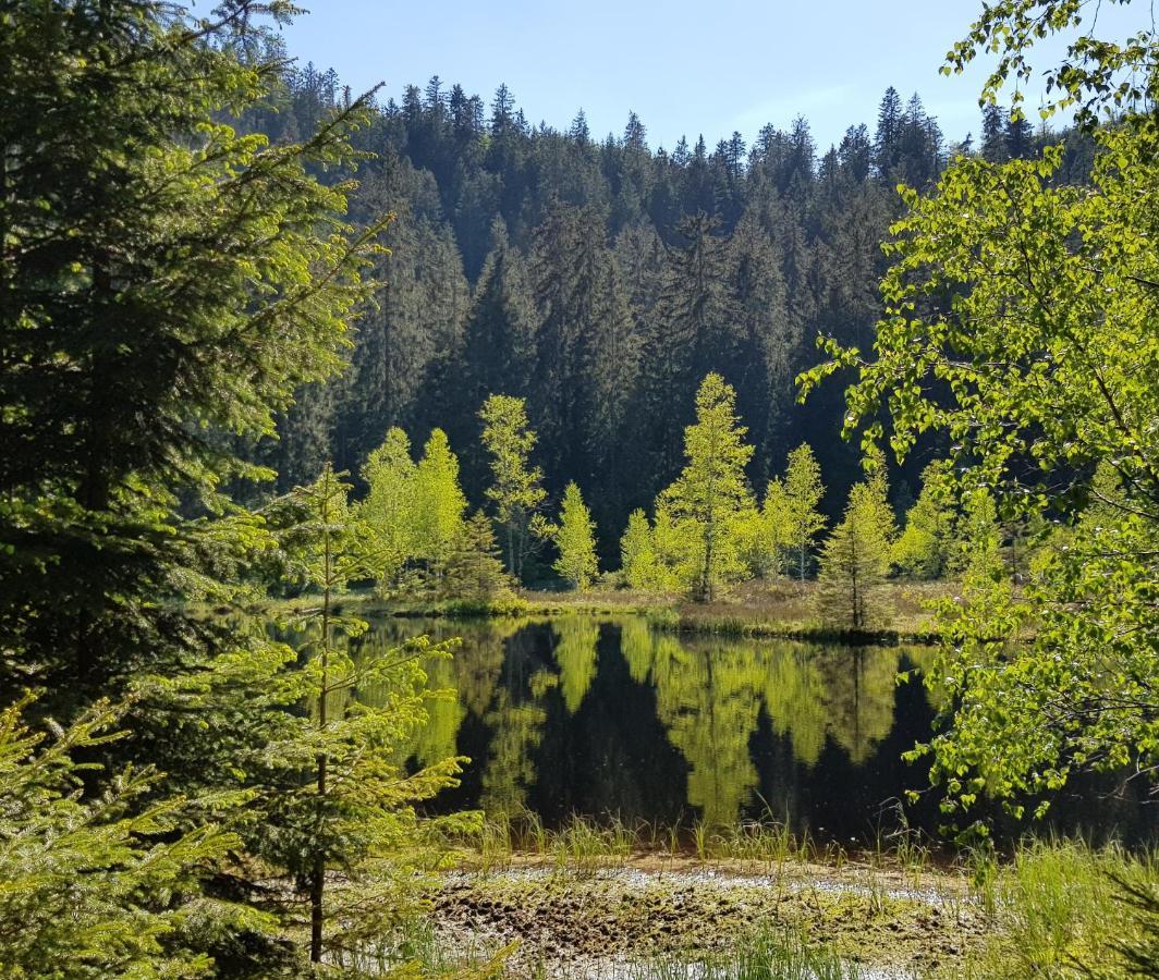 Ferienwohnung Tannenballett Im Schwarzwald Baiersbronn Ngoại thất bức ảnh