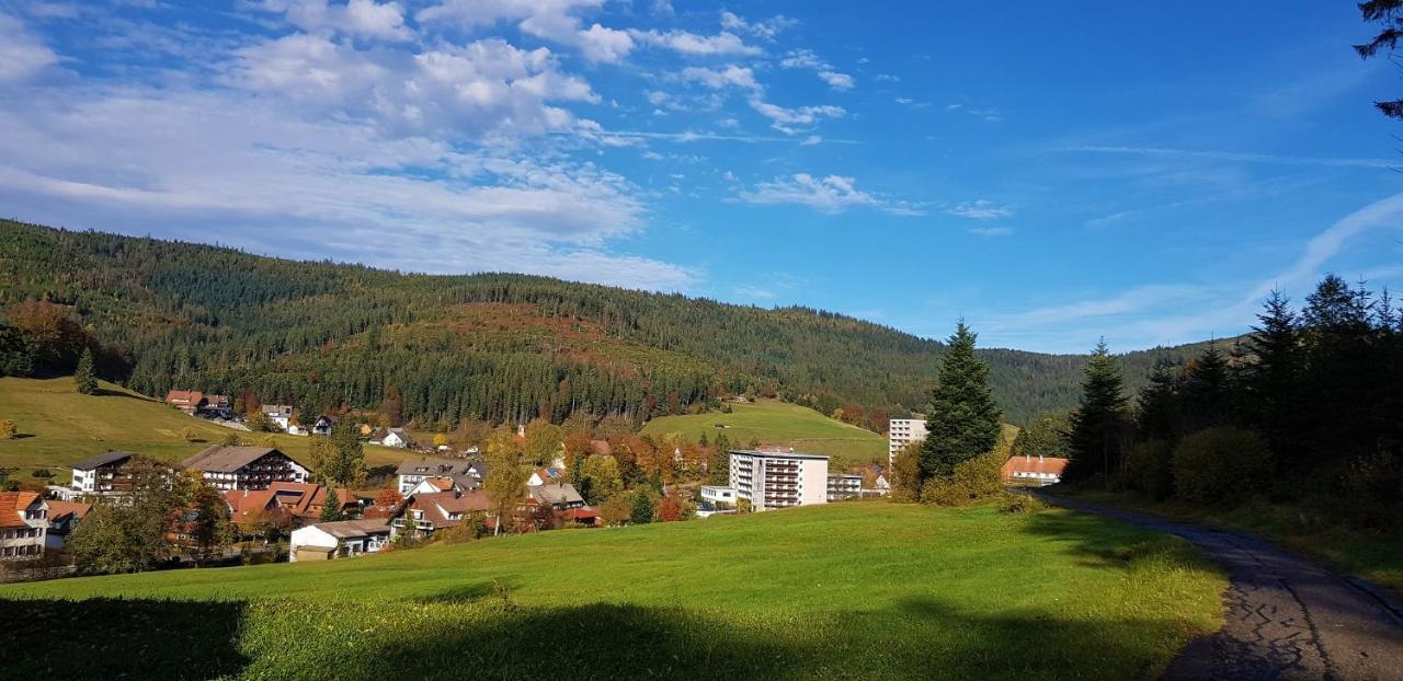 Ferienwohnung Tannenballett Im Schwarzwald Baiersbronn Ngoại thất bức ảnh