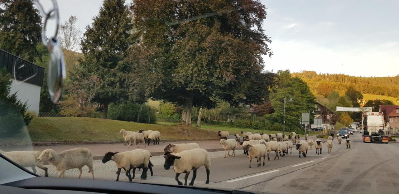 Ferienwohnung Tannenballett Im Schwarzwald Baiersbronn Ngoại thất bức ảnh