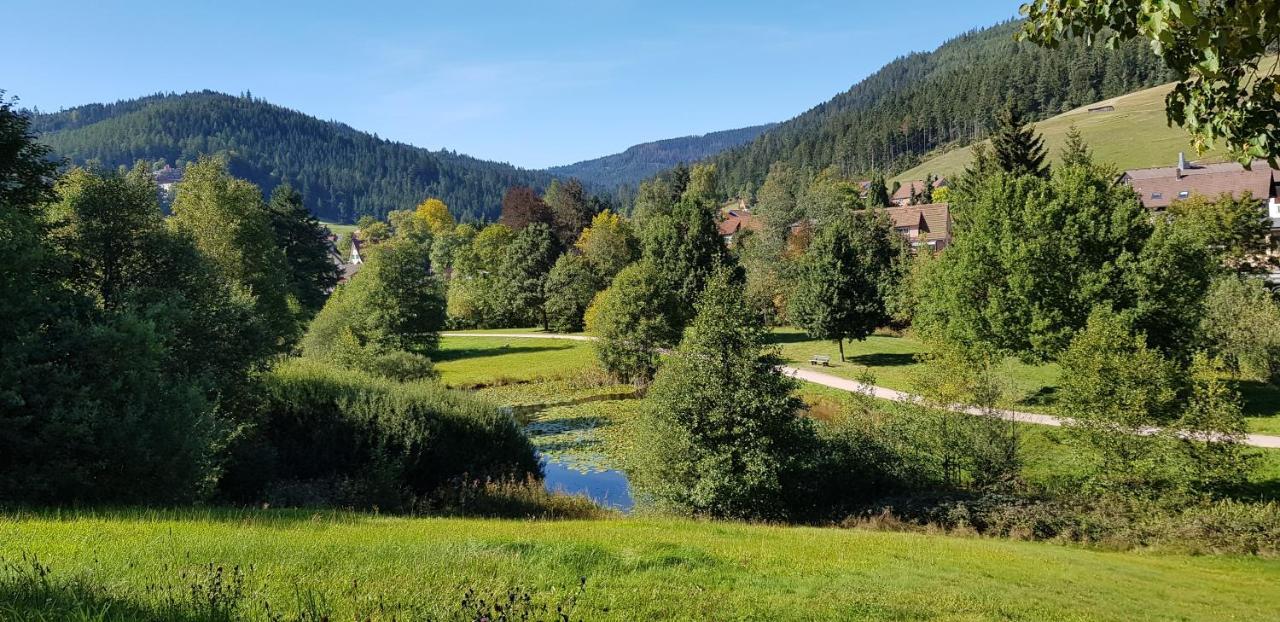 Ferienwohnung Tannenballett Im Schwarzwald Baiersbronn Ngoại thất bức ảnh