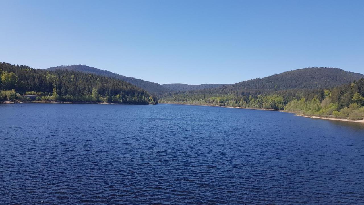 Ferienwohnung Tannenballett Im Schwarzwald Baiersbronn Ngoại thất bức ảnh