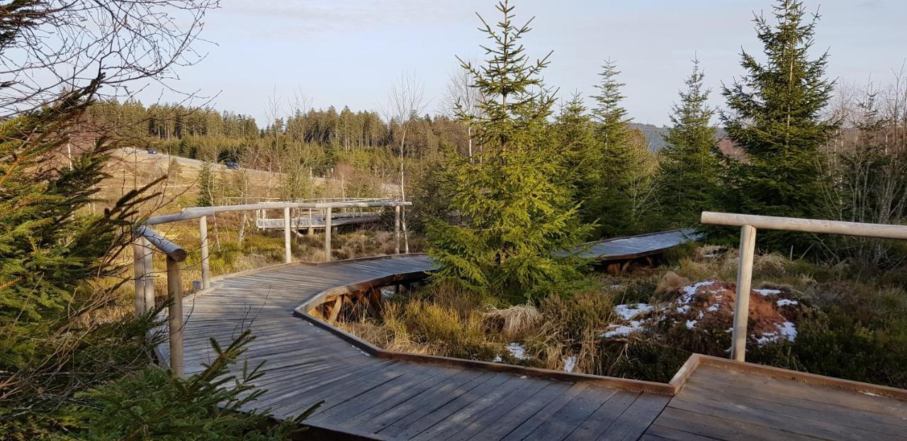 Ferienwohnung Tannenballett Im Schwarzwald Baiersbronn Ngoại thất bức ảnh