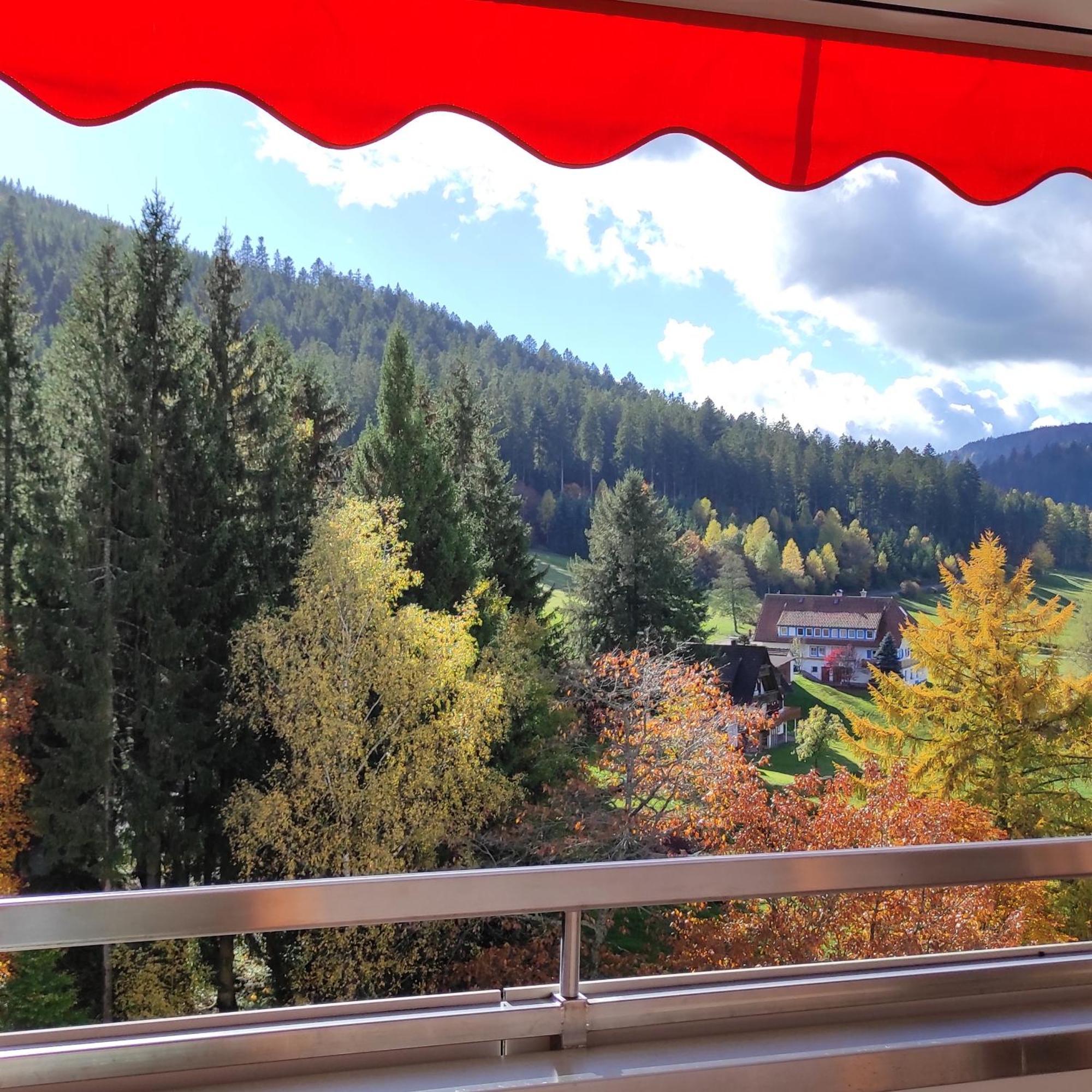 Ferienwohnung Tannenballett Im Schwarzwald Baiersbronn Ngoại thất bức ảnh