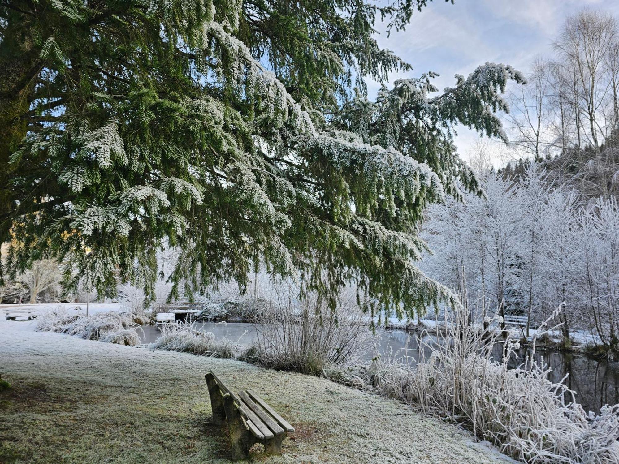 Ferienwohnung Tannenballett Im Schwarzwald Baiersbronn Ngoại thất bức ảnh
